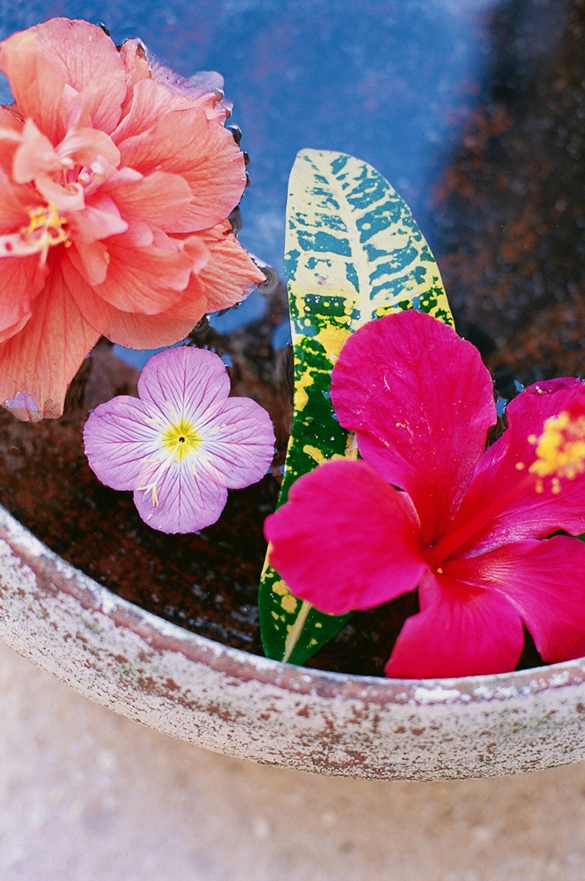 [VYJ] Akina Minami (南明奈) - WANTED 日本美女